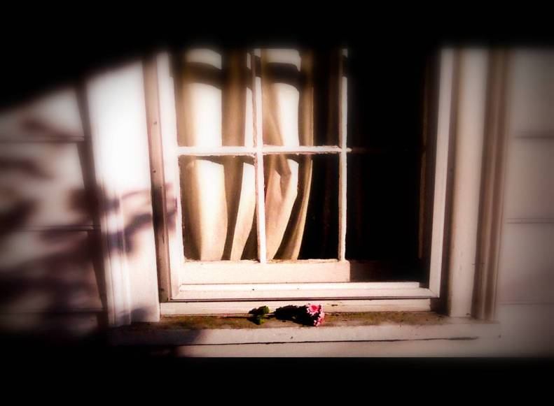 paine window flower 3